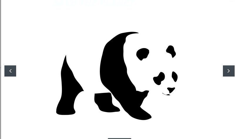 panda